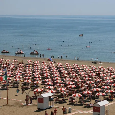 Atenea Golden Star カオルレ