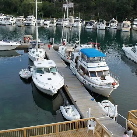 Atenea Golden Star *