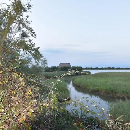 Atenea Golden Star Hotel