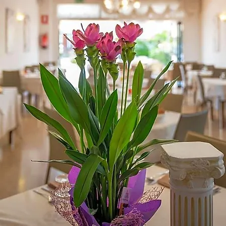 Atenea Golden Star Hotel Caorle