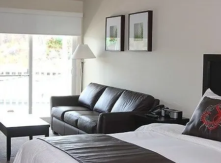 Atenea Golden Star *