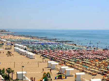 Atenea Golden Star *