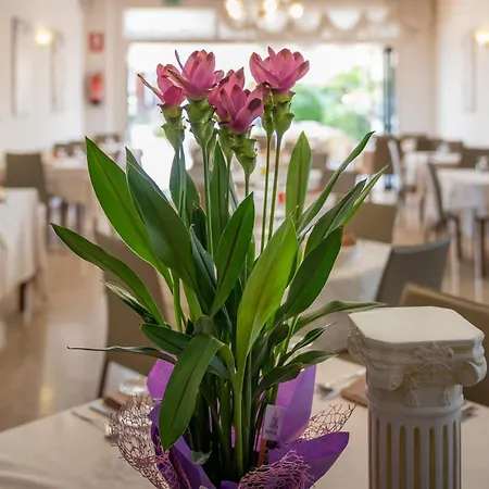 Atenea Golden Star *