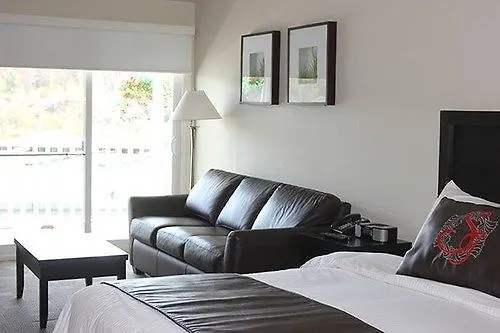 Atenea Golden Star *