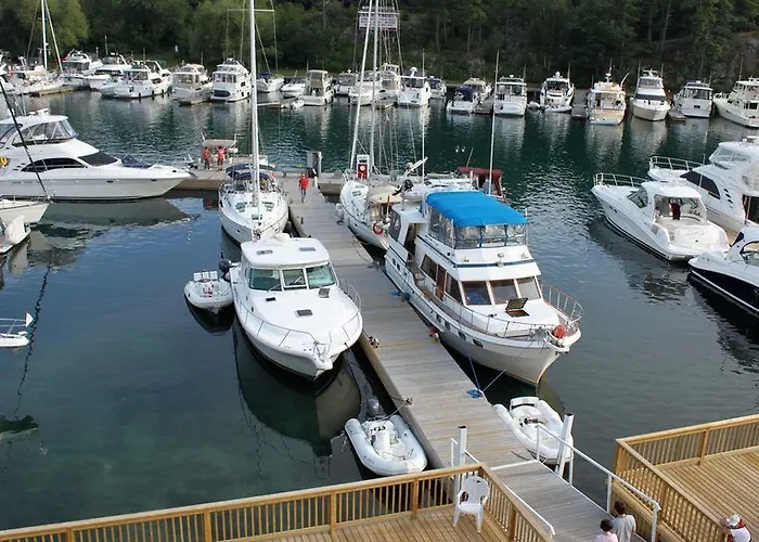 Atenea Golden Star *