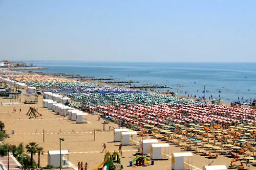 Atenea Golden Star *